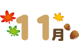 11月